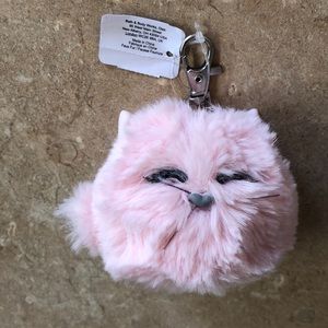 pink fluffy cat